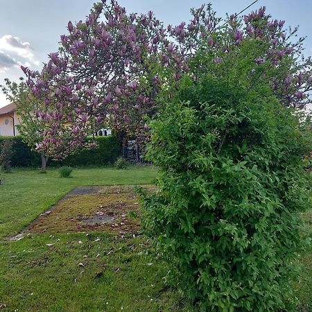 A House, Free Parking, Sauna Koprivnica Eksteriør billede